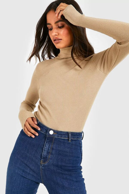 Beige Ribbed Turtle Neck Top